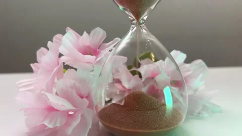 Close-up view of sand-glass with pink blossom. Youth. TIme metaphor. Fading Stock Footage 264998817