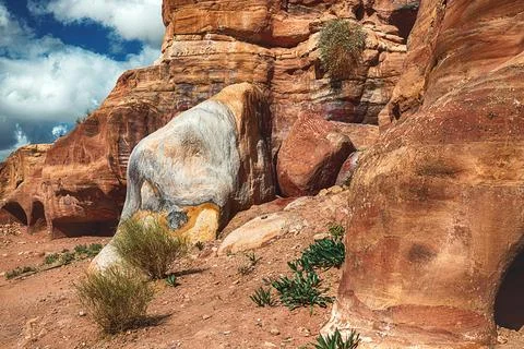 Close-up view of the sandstone rocks during the day in the Siq Gorge, Petra Foto stock