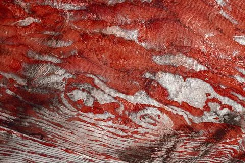 Close-up view of a sandstone wall inside a temple in Petra, Jordan Stock Photos