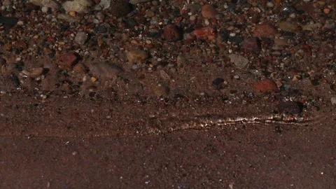 Close up View of a sandy and rocky lake shore with gentle waves, natural text Video stock 309562765