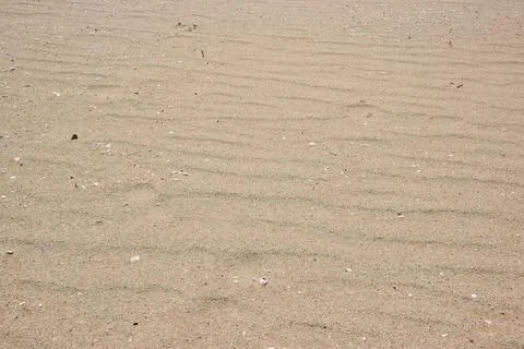 Close-up view of sandy beach with gentle ripples and small shells Stock Photos