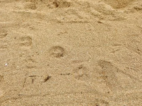 Close Up View of Sandy Beach Surface Texture 库存照片