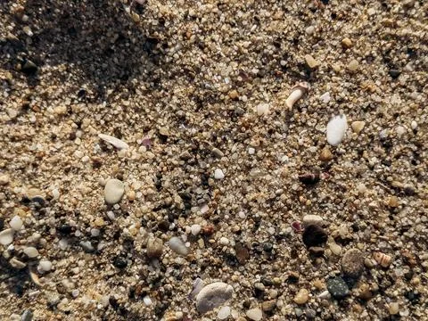 Close-up view of sandy beach with various small pebbles and shells scattere.. Stock Photos