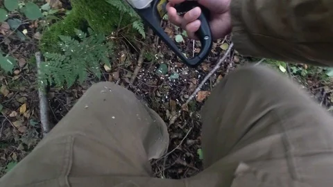 Close-up view of sawing the tree with chainsaw. from the first person Stock Footage 94574969