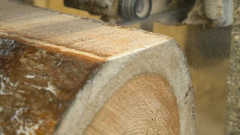 A close up view of an sawmill machine, processing a log of wood at a wood Stock Footage 117109608