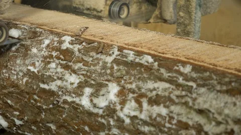 A close up view of a sawmill machine, processing a log of wood at a wood Stock Footage 117109613