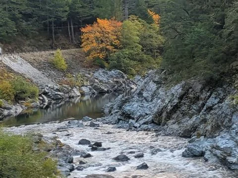 Up-close view of a scenic river with white rapids and colorful autumn trees Фото