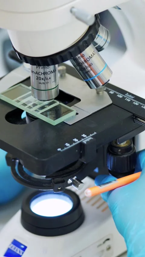 A close-up view of scientist hands in blue gloves manipulating a microscope.. Stock Footage 337527514