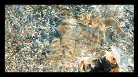 Close up view of sea ​​waves and seaweed coming and going on the sand Stock Footage 296333070