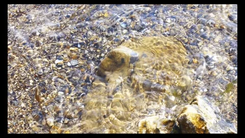 Close up view of sea ​​waves and seaweed coming and going on the sand Stock Footage 296335517