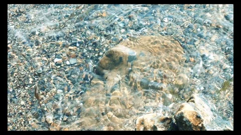 Close up view of sea ​​waves and seaweed coming and going on the sand Stock Footage 296335535