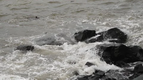 Close view of sea waves striking large rocks Video stock 191400469