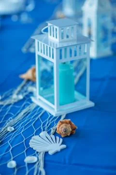 Close-up view of seashell against blue background Stock Photos