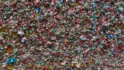 Close-up view of Seattle bubble gum wall. Chewing gum wall. Seattle, WA, USA - Stock Footage 243060505