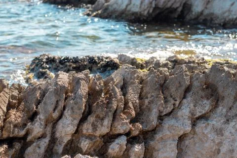 Close view of a serrated sharp rock on the shore of adriatic sea Stock Photos
