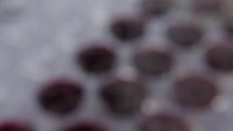 Close-up view on set of transparent glasses with red wine. Slow motion. Stock-Footage 72603240