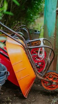 Close up view of several multi colored wheelbarrows parked in a garden area Stock Photos