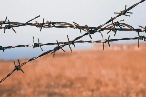 Close up view on sharp strands of barb wire Stock Photos