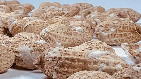 Close Up View of In Shell Peanuts Surface and Textures Stock Photos