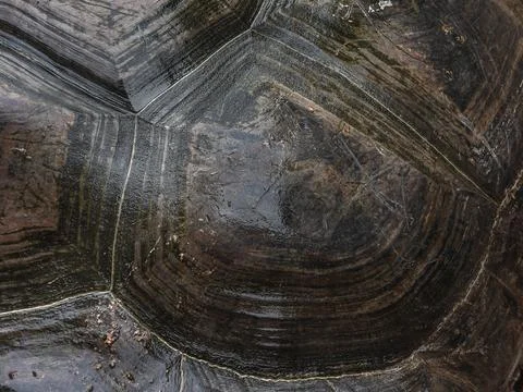 Close up view of the shell texture of the Seychelles turtle Stock Photos