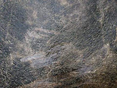 Close up view of the shell texture of the Seychelles turtle Stock Photos