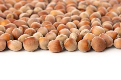 Close up view of shelled Hazelnuts isolated on white. Heap of Hazelnuts as Stock Photos