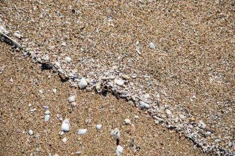 Close up view of shells in the sand Stock Photos