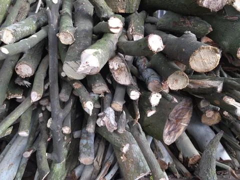 This close up view shows a large collection of stacked wooden logs and cut br Stock Photos