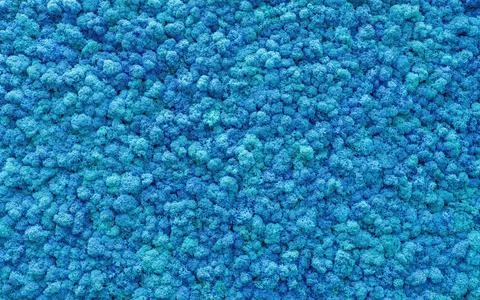 A close-up view shows many small blue fluffy shapes covering a surface comple Stockfoto's