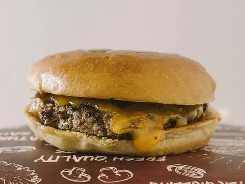 Close up view of Single cheese burger with caramalised onions Stock Photos