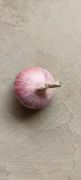 Close up view of a single pink onion bulb with root hairs Fotos Stock