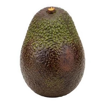 A close-up view of a single, ripe avocado with a textured, dark green skin. Stock Illustration