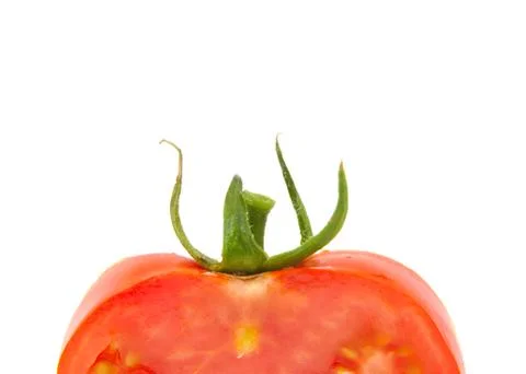 Close up view of a single tomato with space for copy text isolated on white b Stock Photos