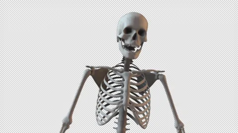 Close View Skeleton Looking Around Fast Video stock 265085791