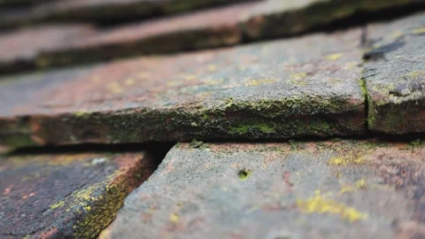 Close-Up View Of Slate Tiles On A Traditional English Roof Stock Footage 305426596