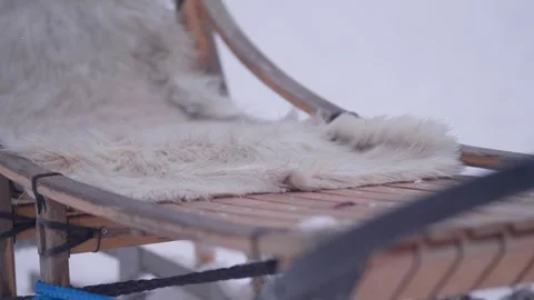 Close-up view of a sled for sled dogs in a winter forest Video stock 329254208