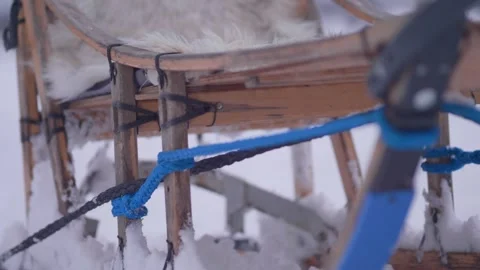 Close-up view of a sled for sled dogs in a winter forest Stock Footage 329254447