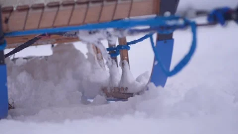 Close-up view of a sled for sled dogs in a winter forest Stock Footage 329254606