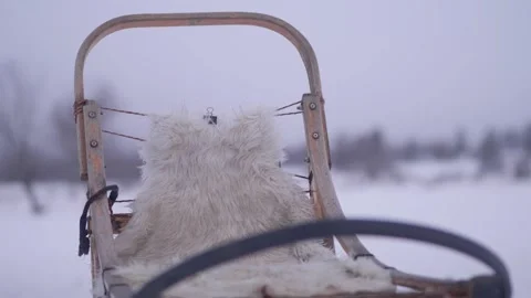 Close-up view of a sled for sled dogs in a winter forest Stock Footage 329254649
