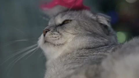 Close-up view of the slow soldering process Stockbeeldmateriaal 145943820