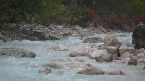 Close up view of small river Triglavska Bistrica flows in pristine nature Stock Footage 141314542