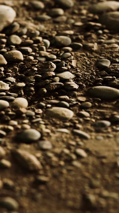 Close up view of small rocks and pebbles on a sandy ground near the river 動画素材 346674155