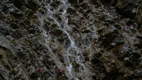 Close up view of small stream flowing on brown rock Stock Footage 167693763