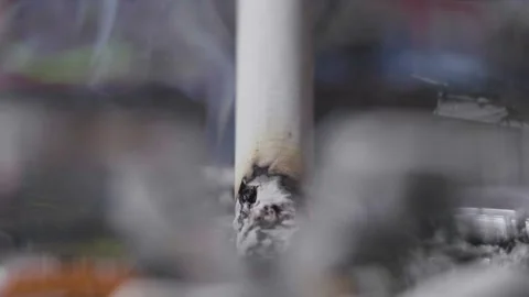 Close Up View Of Smoldering Cigarette In Ashtray Stock Footage 151596432
