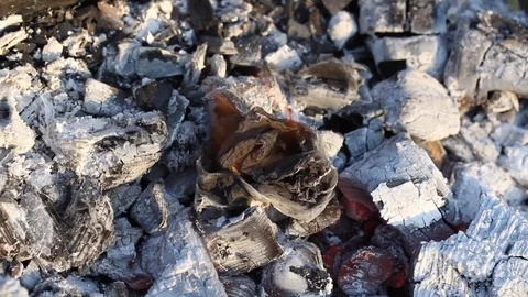 Close up view of a smoldering fire. Natural fire ashes with dark coals texture. Video stock 107109653