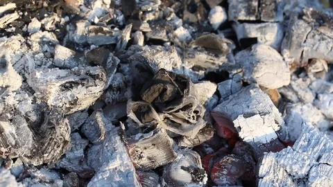 Close up view of a smoldering fire. Natural fire ashes with dark coals texture. Stock Footage 107109655