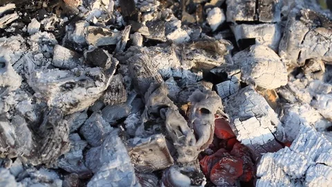 Close up view of a smoldering fire. Natural fire ashes with dark coals texture. Stock Footage 107109750