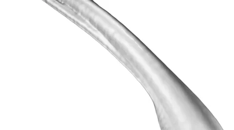 Close-up view of smooth flowing oil, alpha included (FULL HD) Video stock 40709426