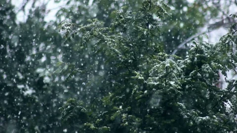 Close up view of snow falling in front of trees Stock Footage 70732256