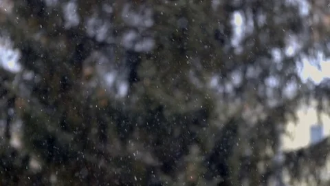 Close up view of snow falling in front of trees out of focus Vídeo Stock 72210008